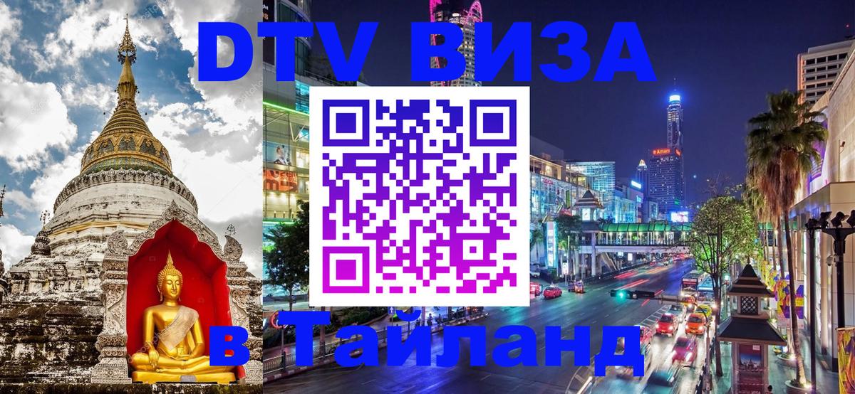 Оформление DTV визы под ключ: стоимость и тарифы, только загранпаспорт - 